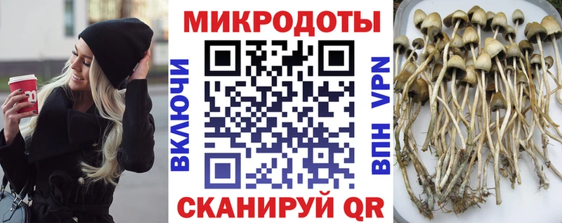 Псилоцибиновые грибы Magic Shrooms Буй
